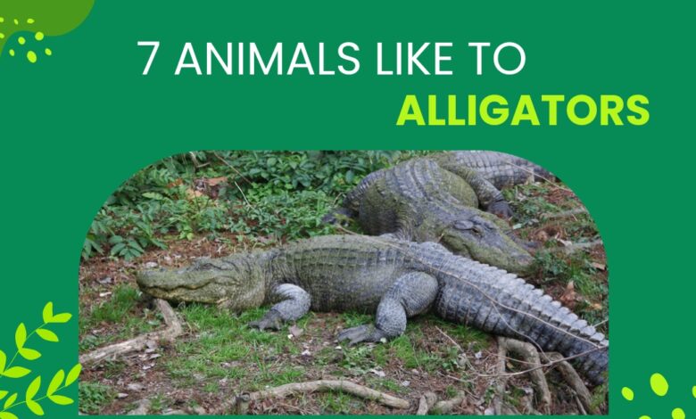 7 Animals like to Alligators